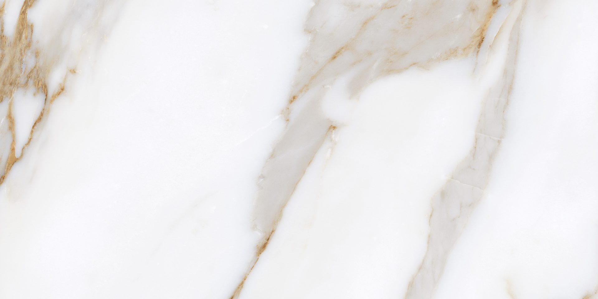 59,1X119,1-RECT. CALACATTA GOLD PORCELAIN