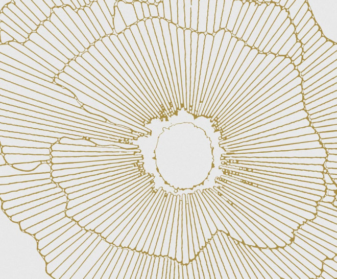 30x30 Art-Deco White Spritz Natural Rectificado 10mm