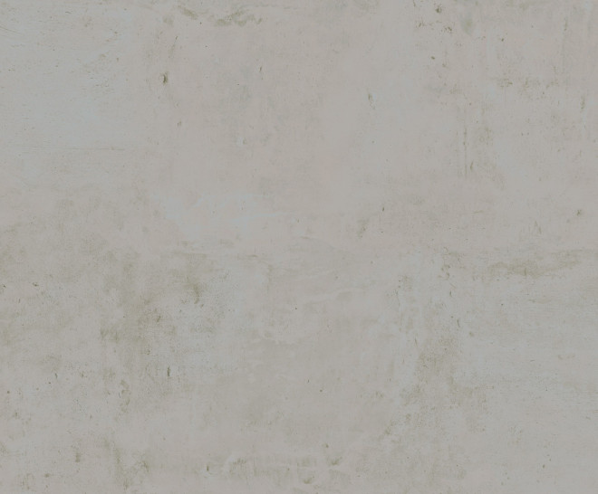 50x100 Brave Grey Nonslip Rectified 2 cm