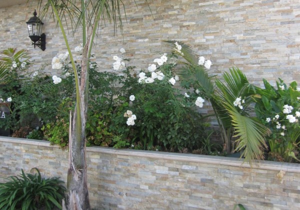 PRE-ASSEMBLED STONE – LINEAL LINE 40×10×0.8-1.4 CM BOX 12PCS/0.48M2 - Image 3